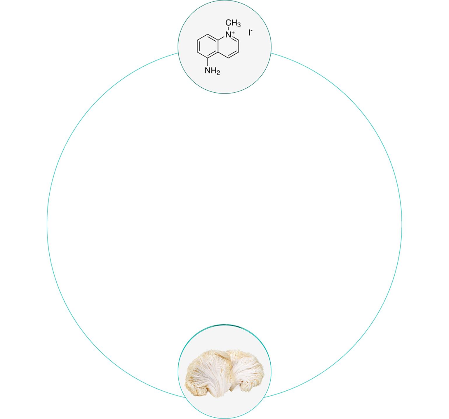 circle-image-1