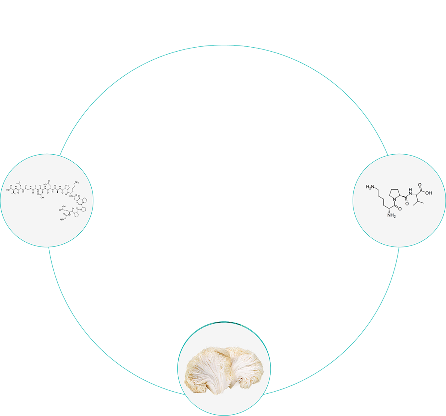 circle-image-1