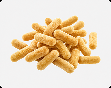 Bacillus subtilis